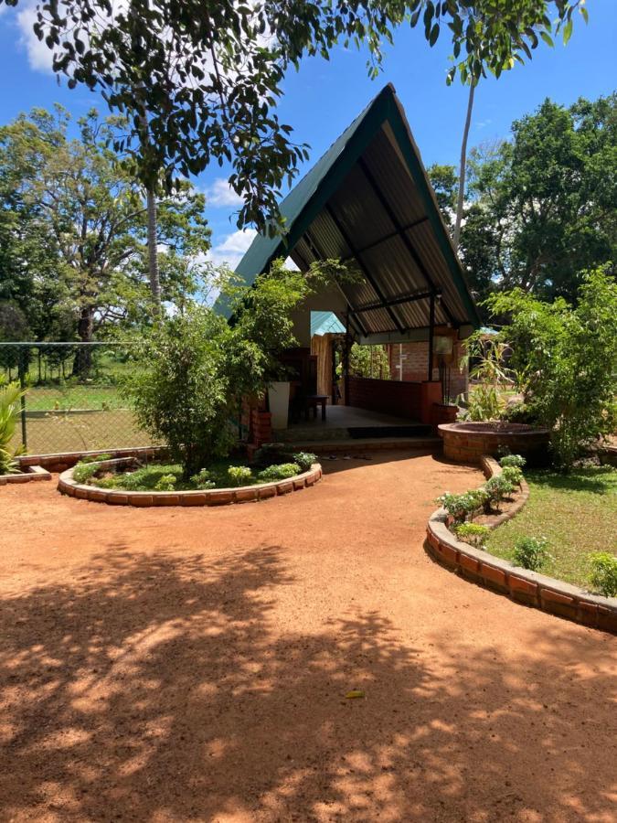 The View Hotel Sigiriya Eksteriør bilde